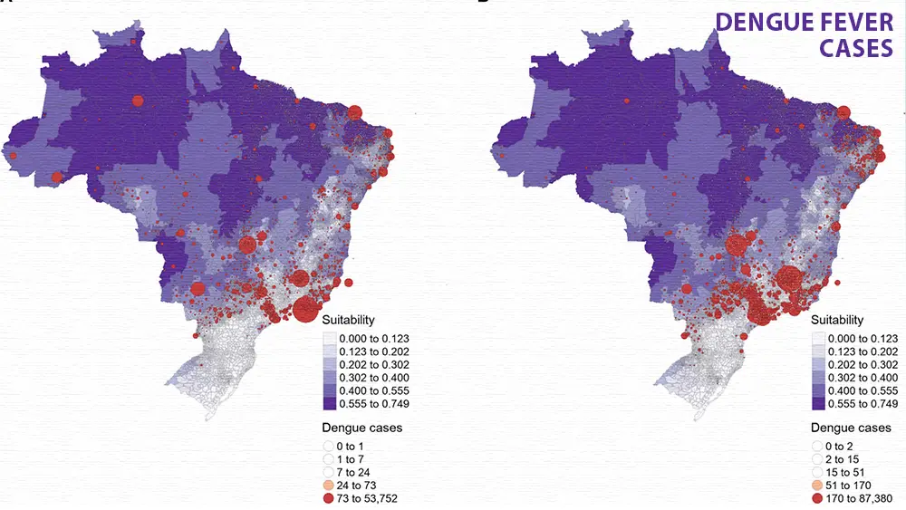 Dengue Fever Vaccine and Dengue In Brazil