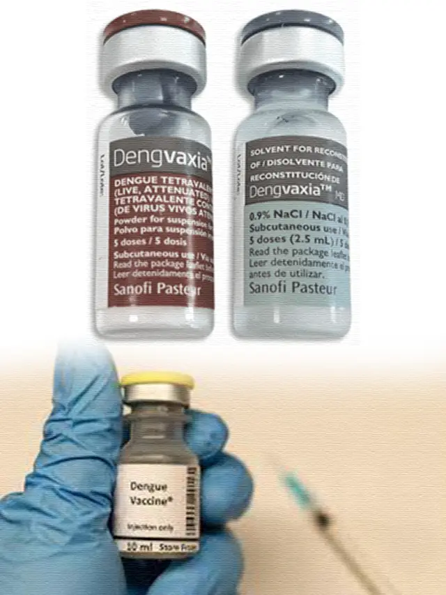 Dengue Fever Vaccine