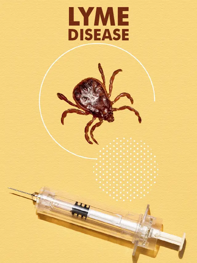 Lyme Disease Vaccine