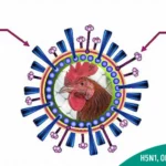 H5N1, or avian influenza virus