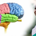 Brain and Neuroscience