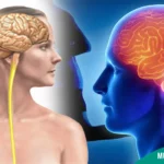 Multiple Sclerosis