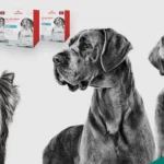 Is Royal Canin a Good Dog Food?