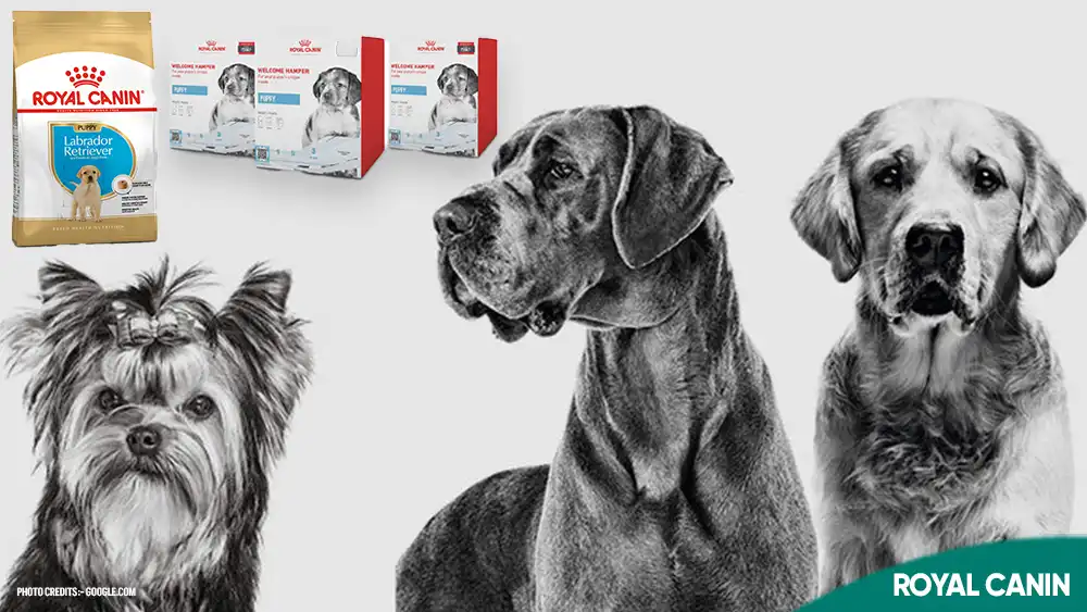 Is Royal Canin a Good Dog Food?