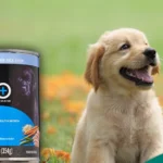 Pure Balance Dog Food Review