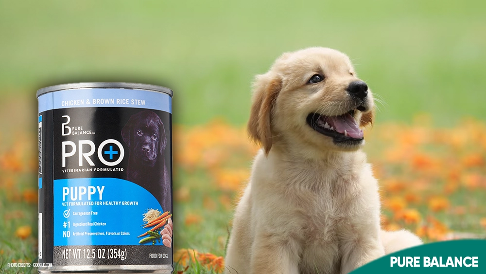 Pure Balance Dog Food Review