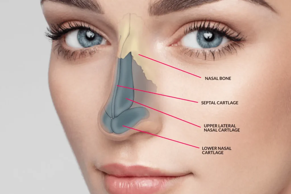 Closed Rhinoplasty Cost