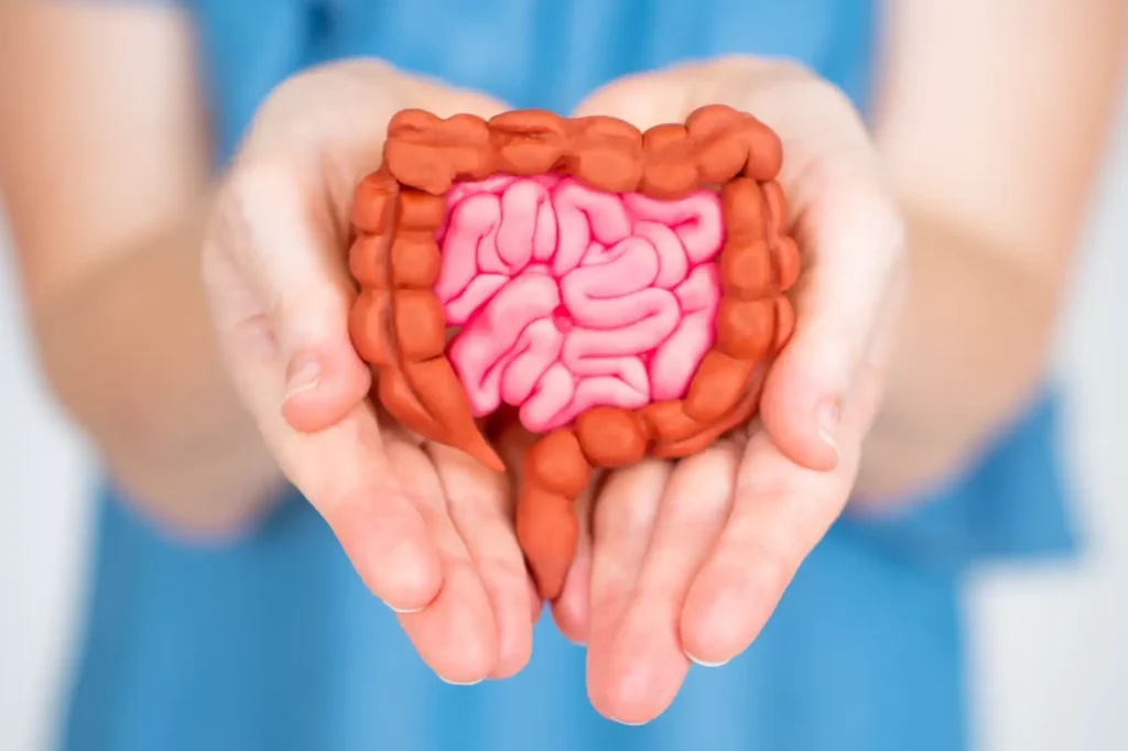 How to Improve Gut Health Naturally