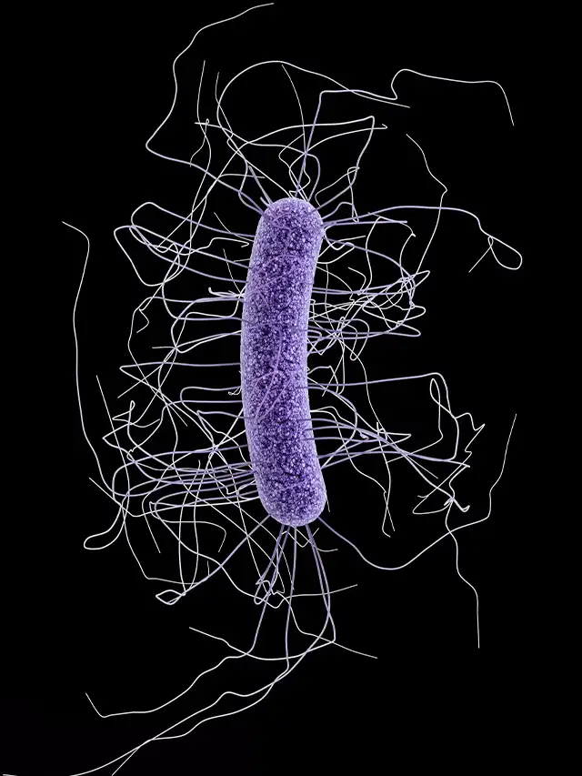 Microorganisms That Cause Disease Called