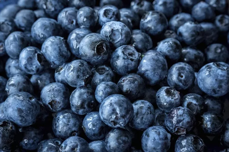 FDA Blueberry Recall Update 2025